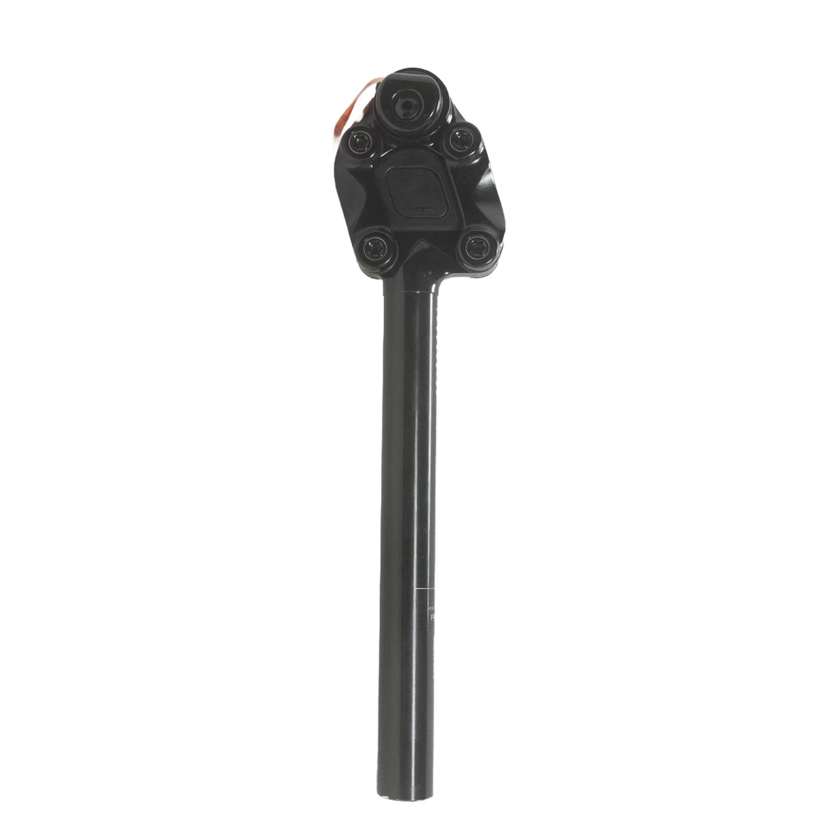 27.2Black