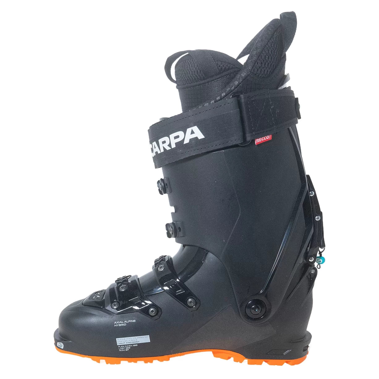 31Black