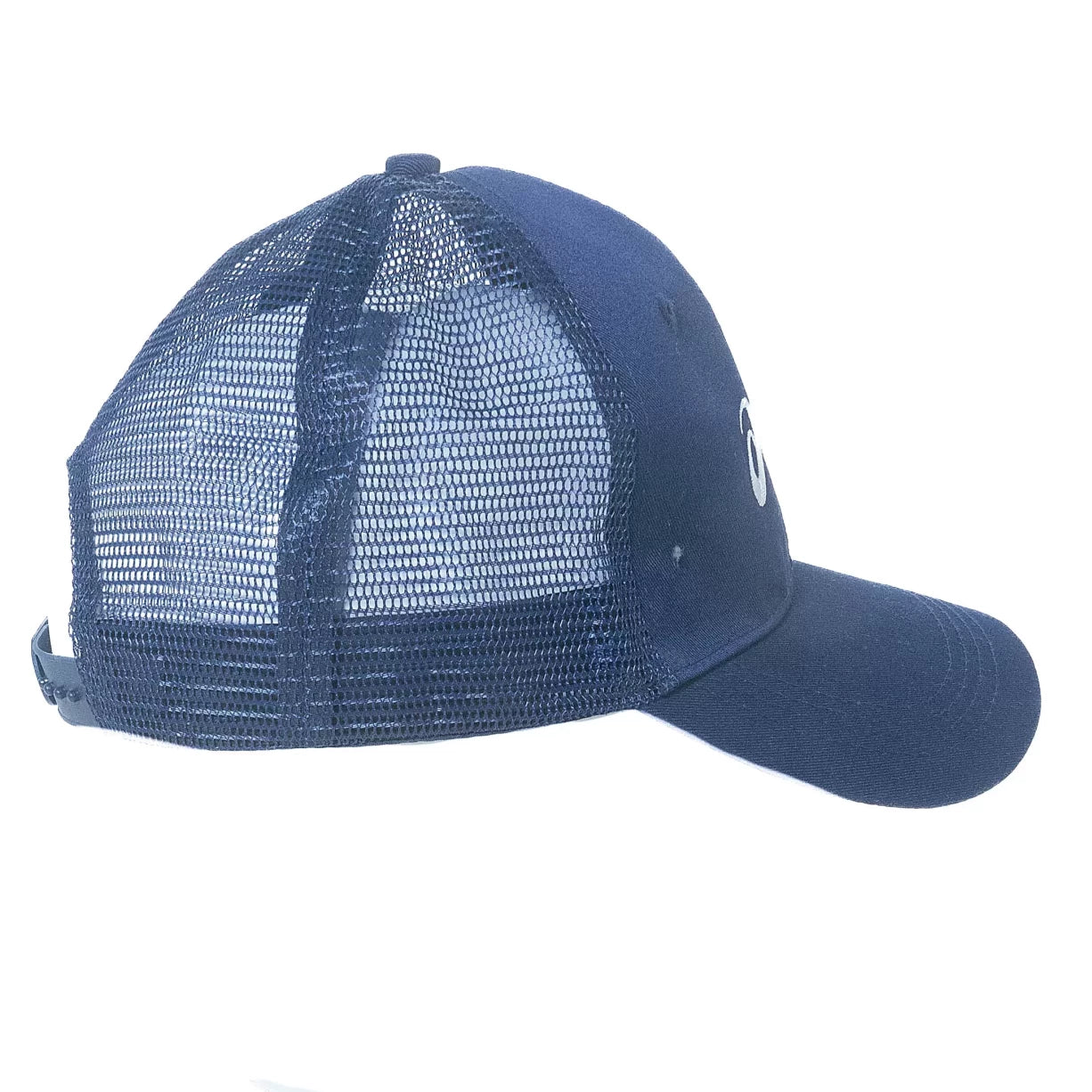 AdjustableBlue