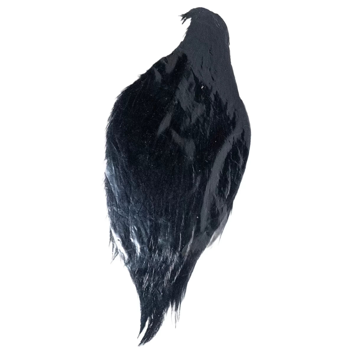 One SizeBlack