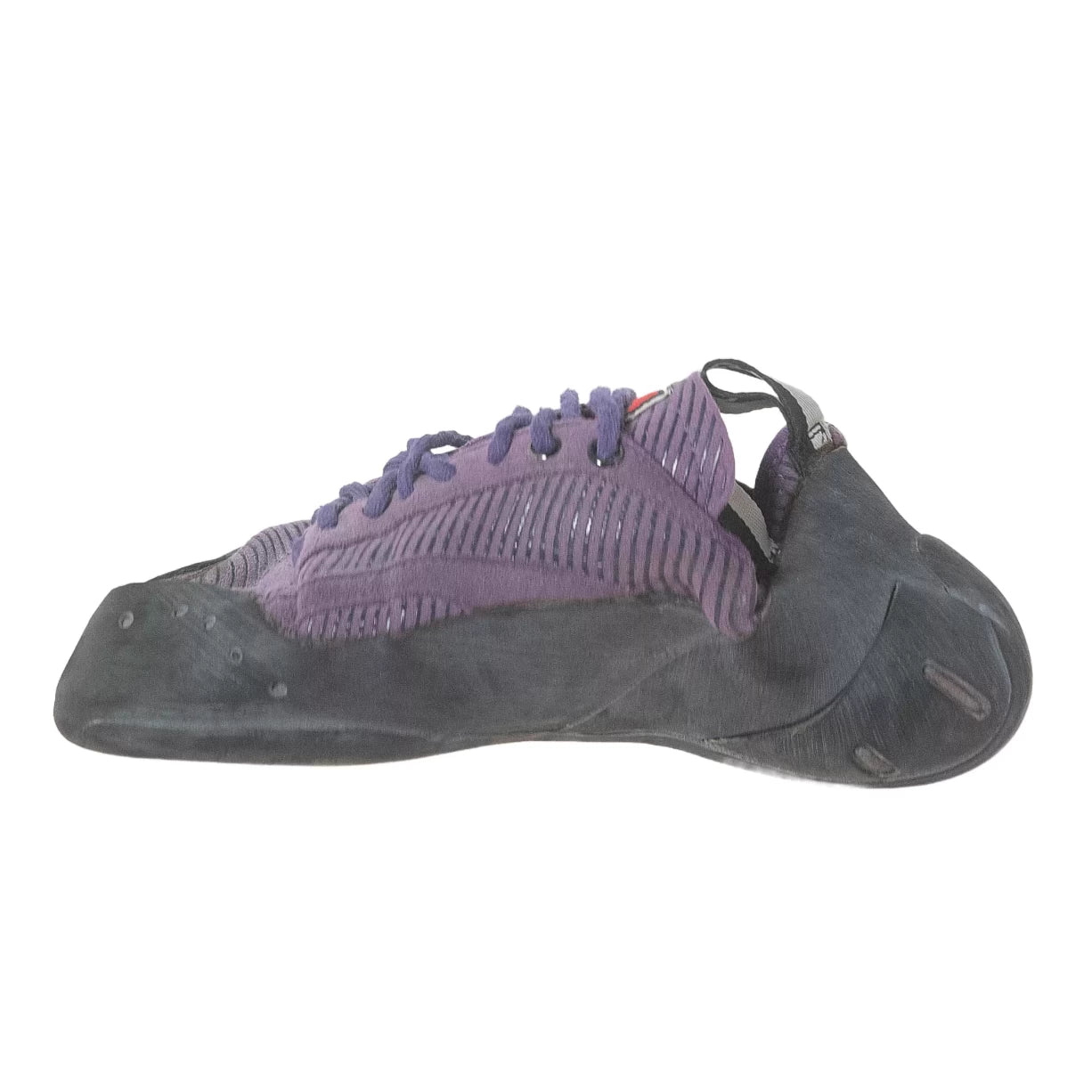 44.0Purple