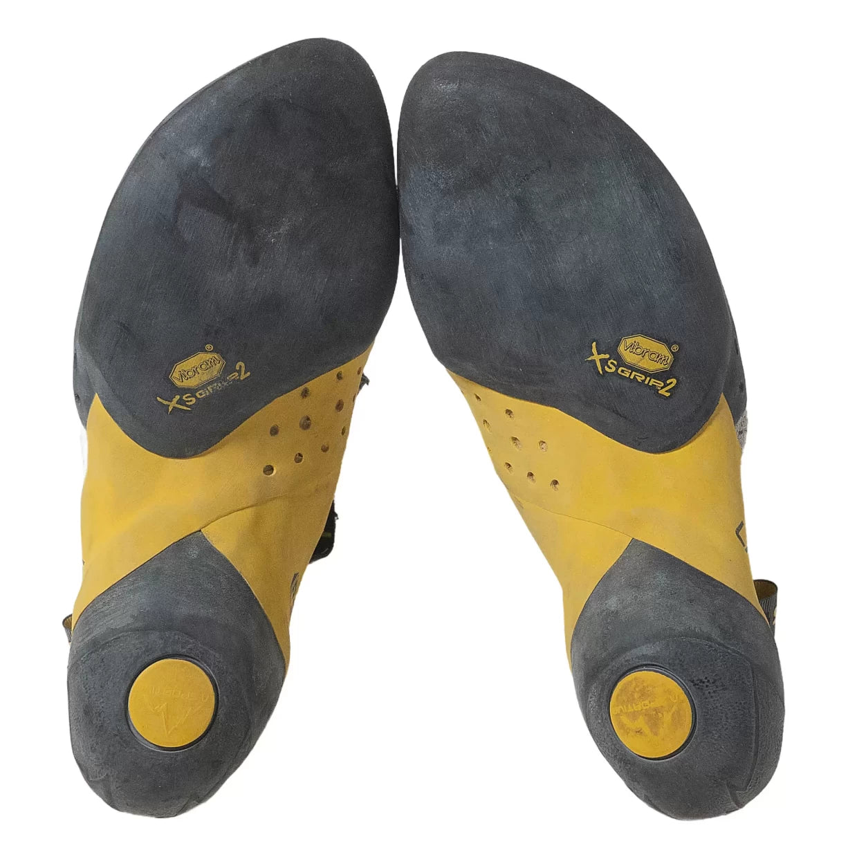 41.0Black/Yellow