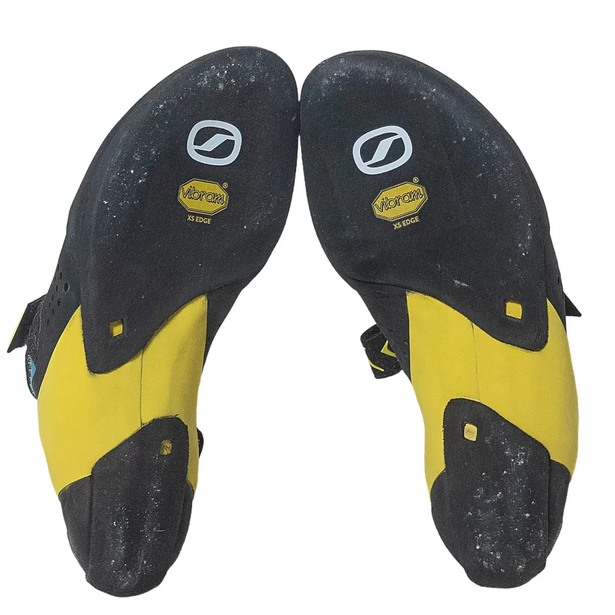 40.5Blue/Yellow