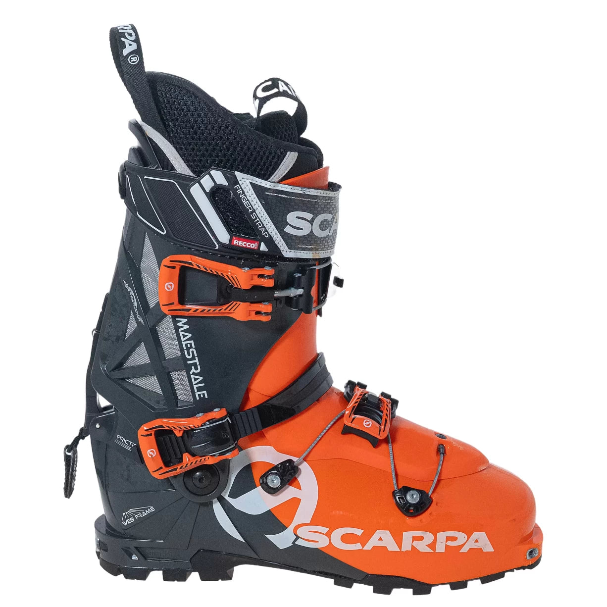29.5Orange