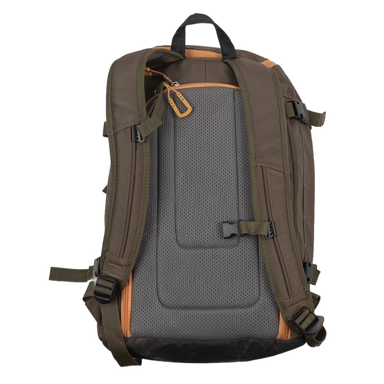 50LGreen