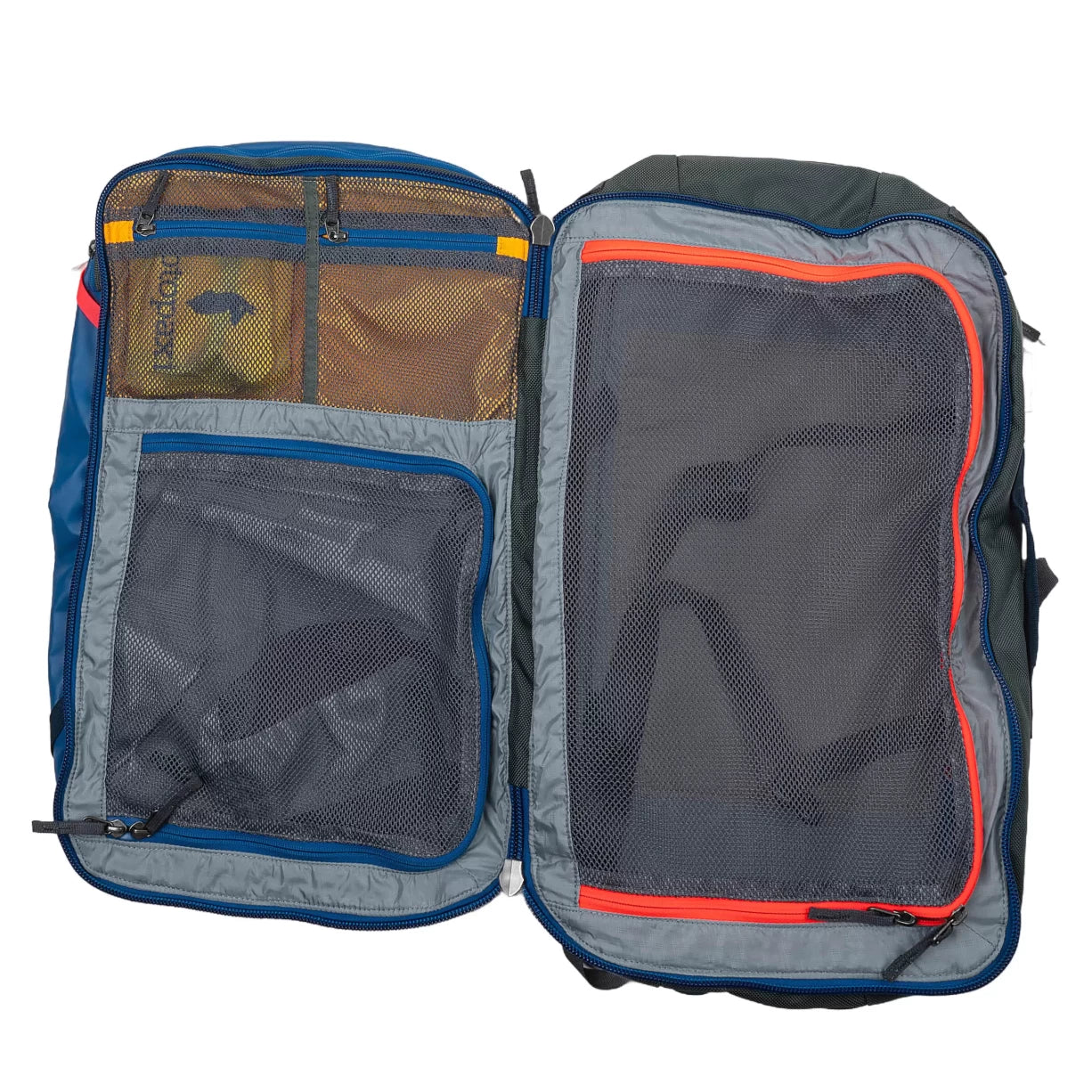 35 LBlue