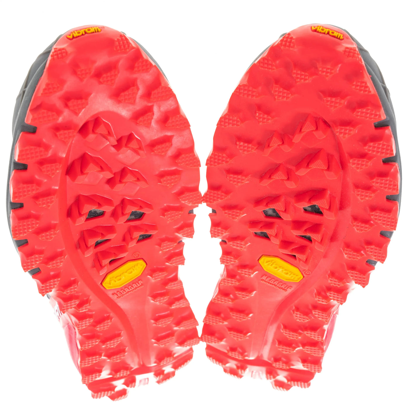 7Quiet Shade/Fluo Pink