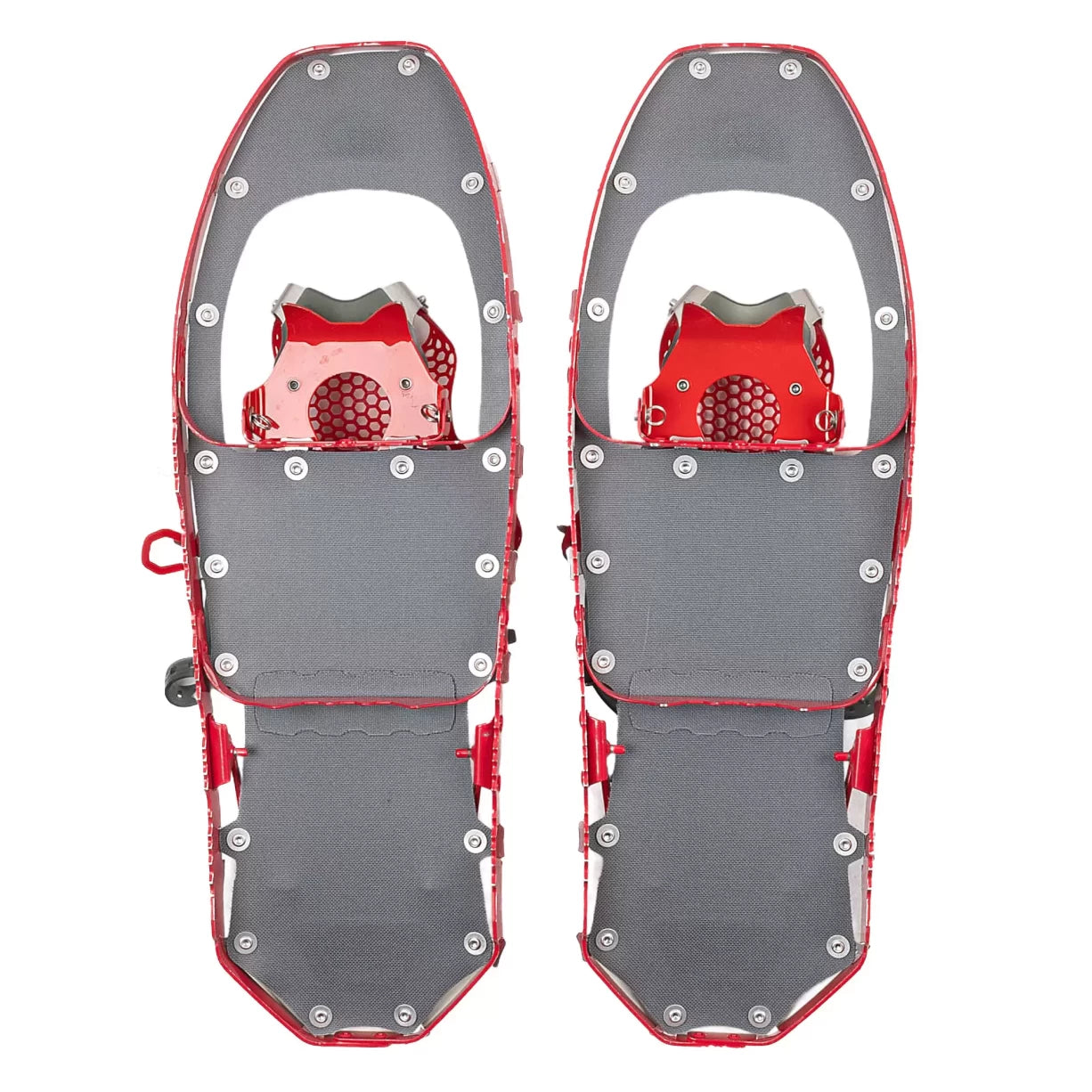 22 inRed