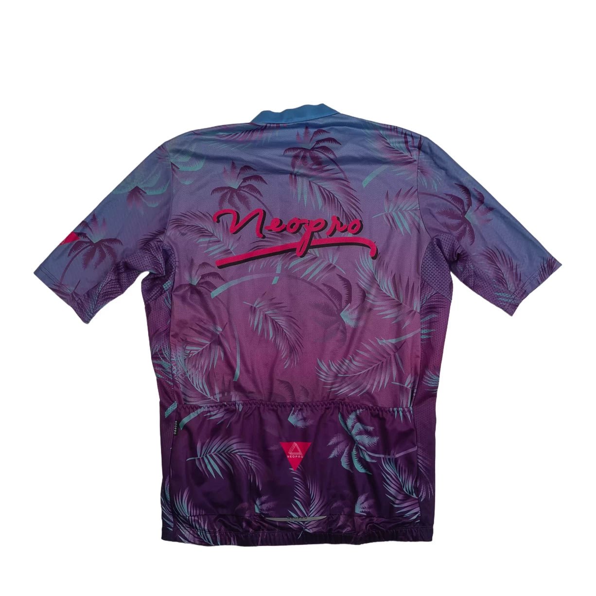 2XLPurple/Blue