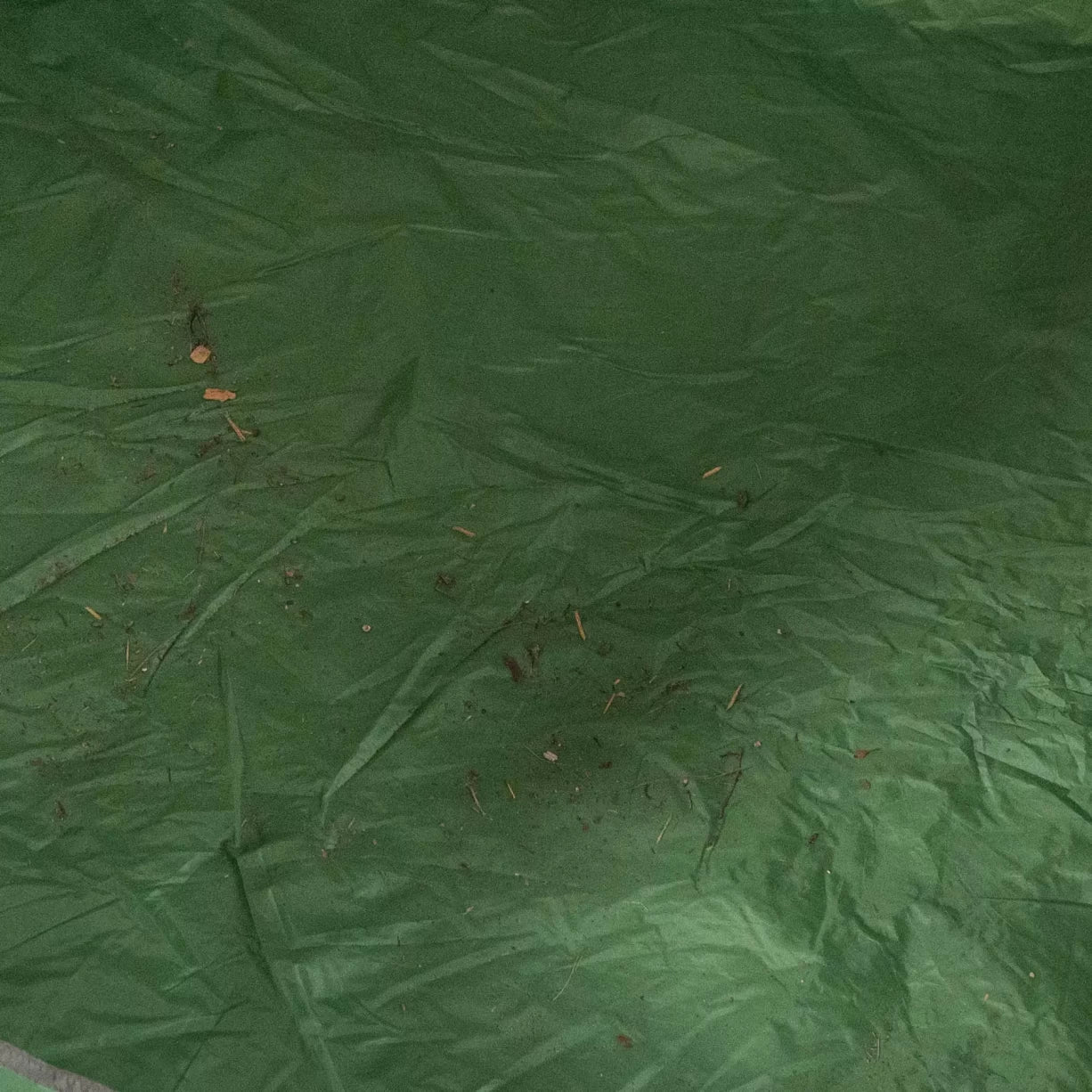One SizeGreen