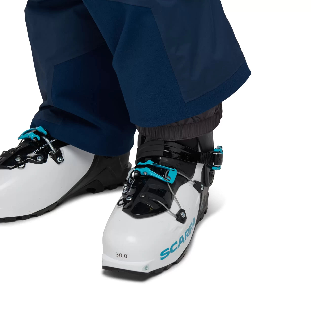 XLIndigo