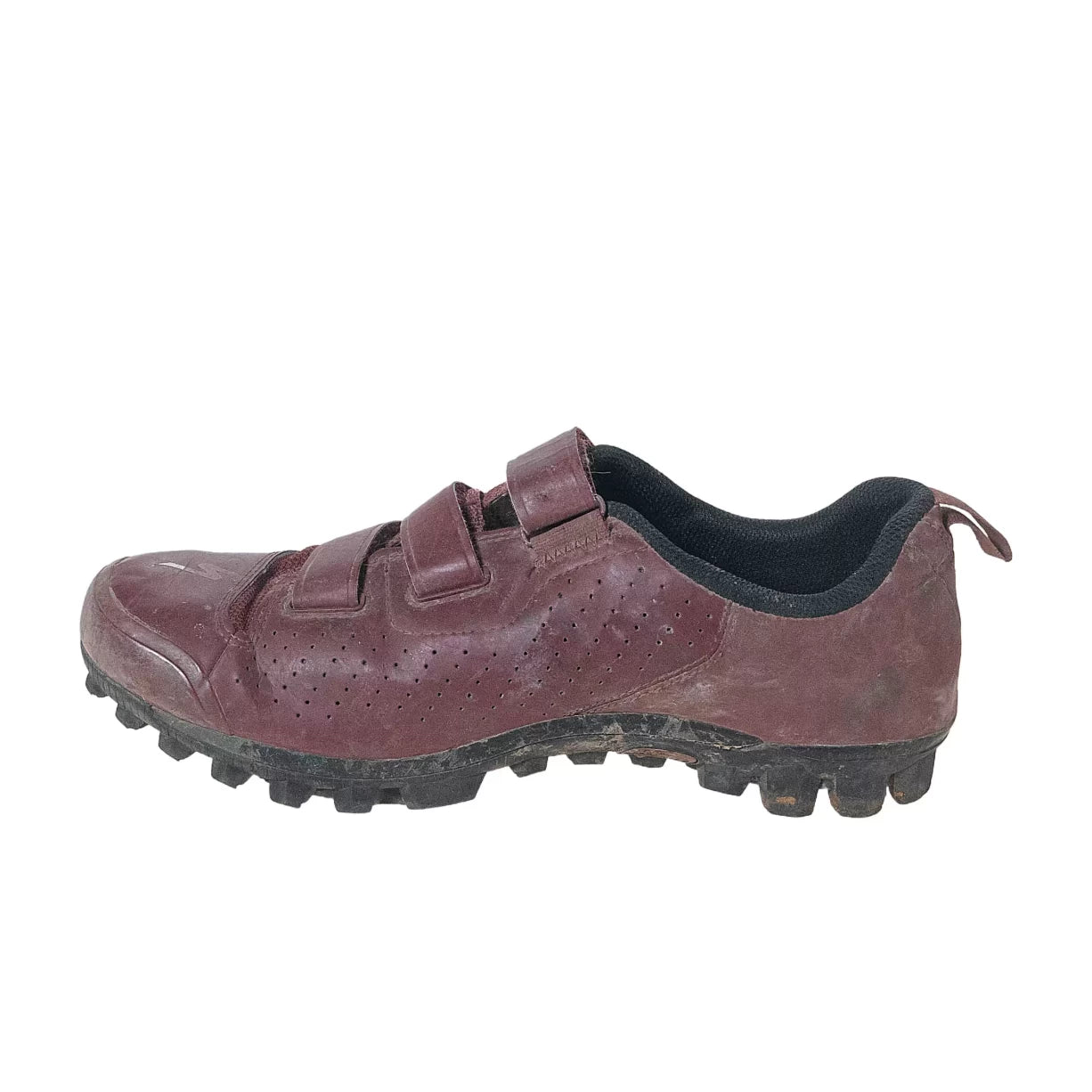 8Maroon
