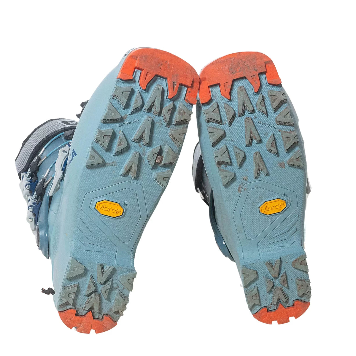 24.5Lichen Blue