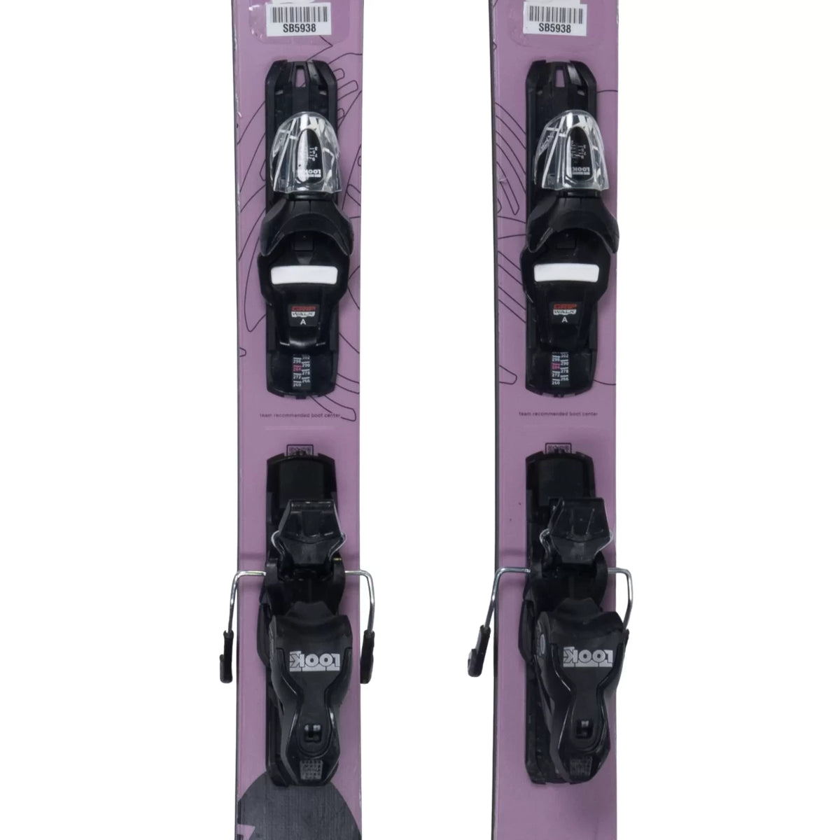 173cmPurple