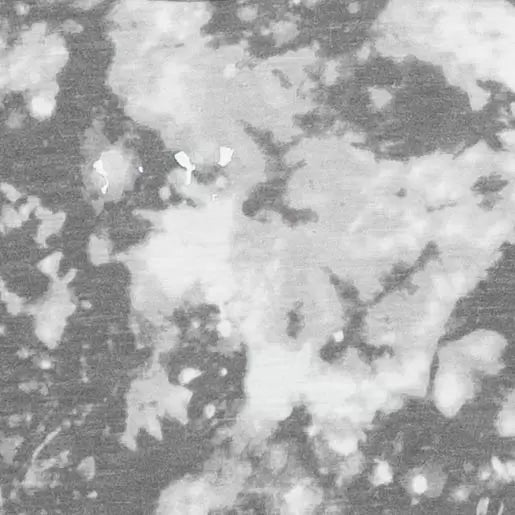 SGray