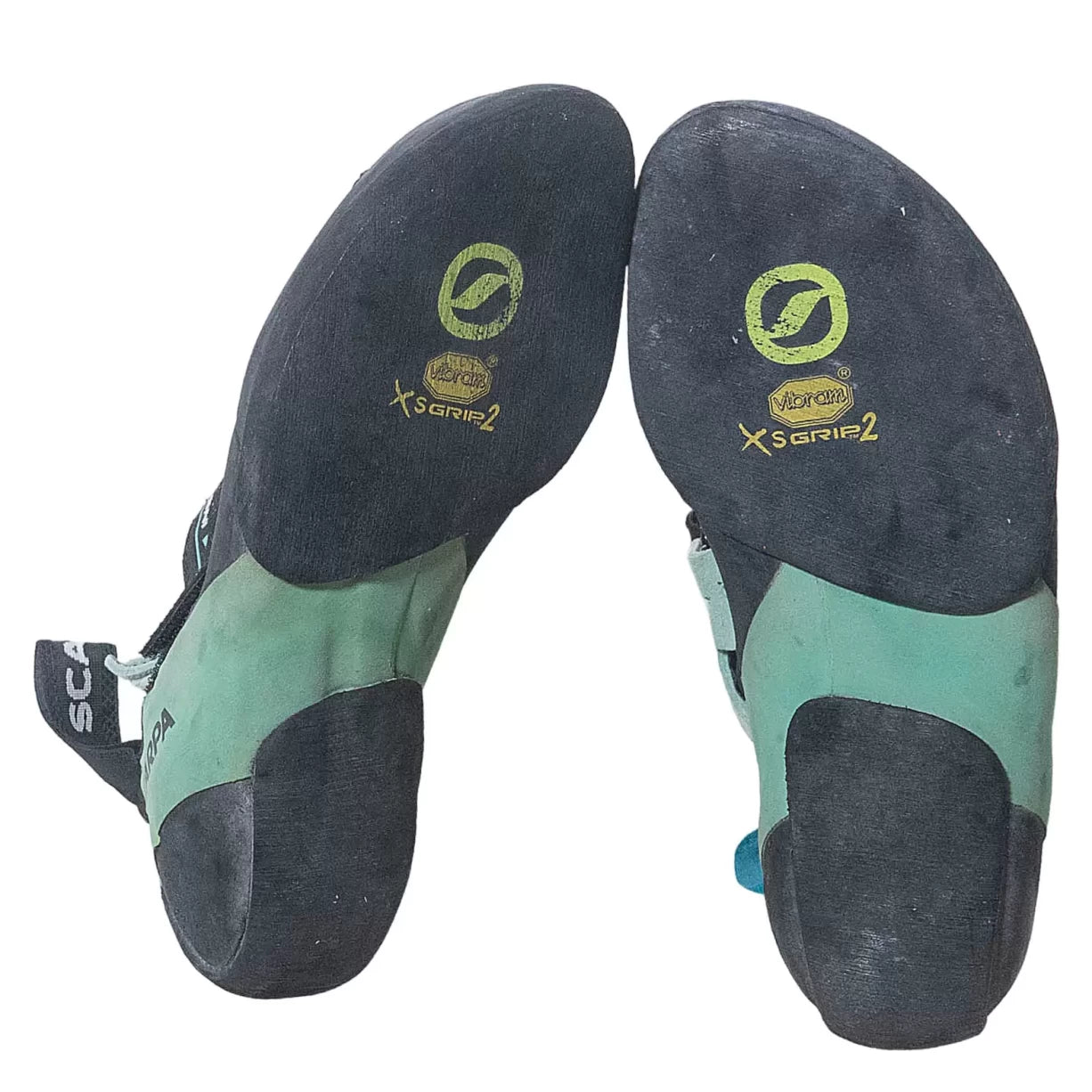 36.0Black