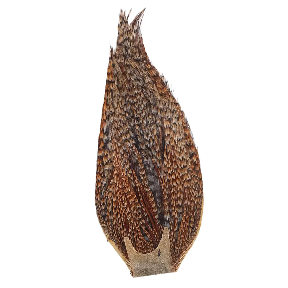 One SizeMulti