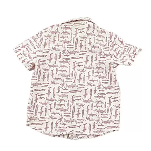 3TRed/White