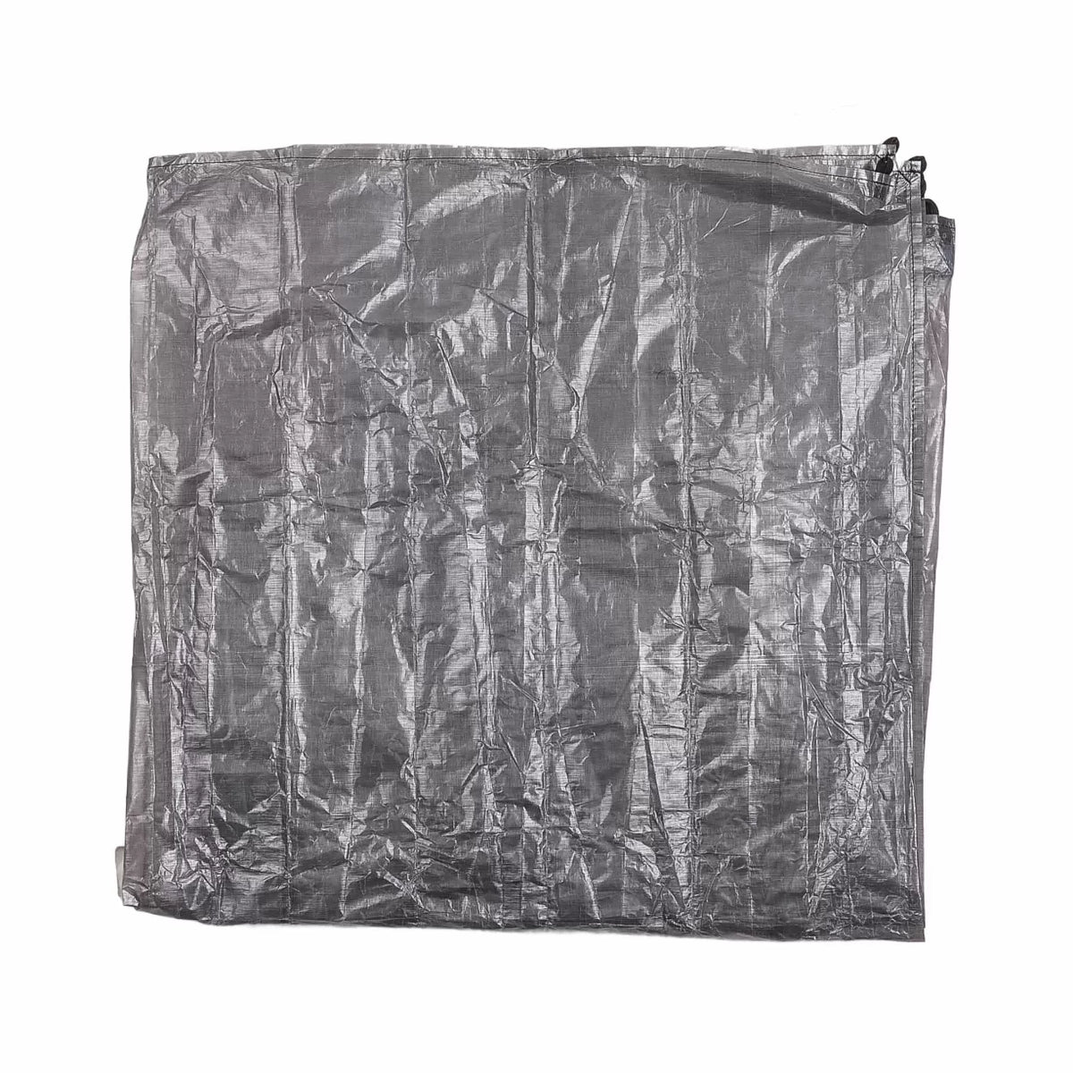 RegularSilver