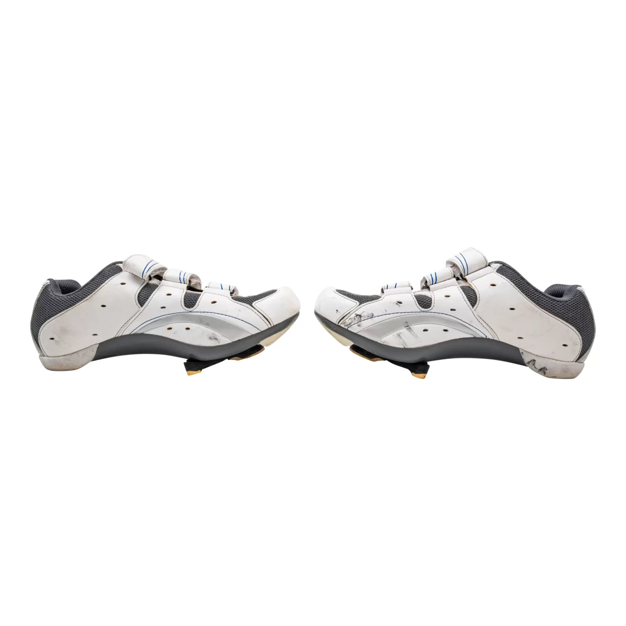 41.0White/Blue