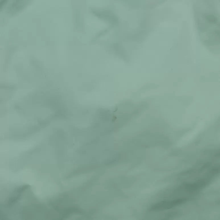 XSMint Green