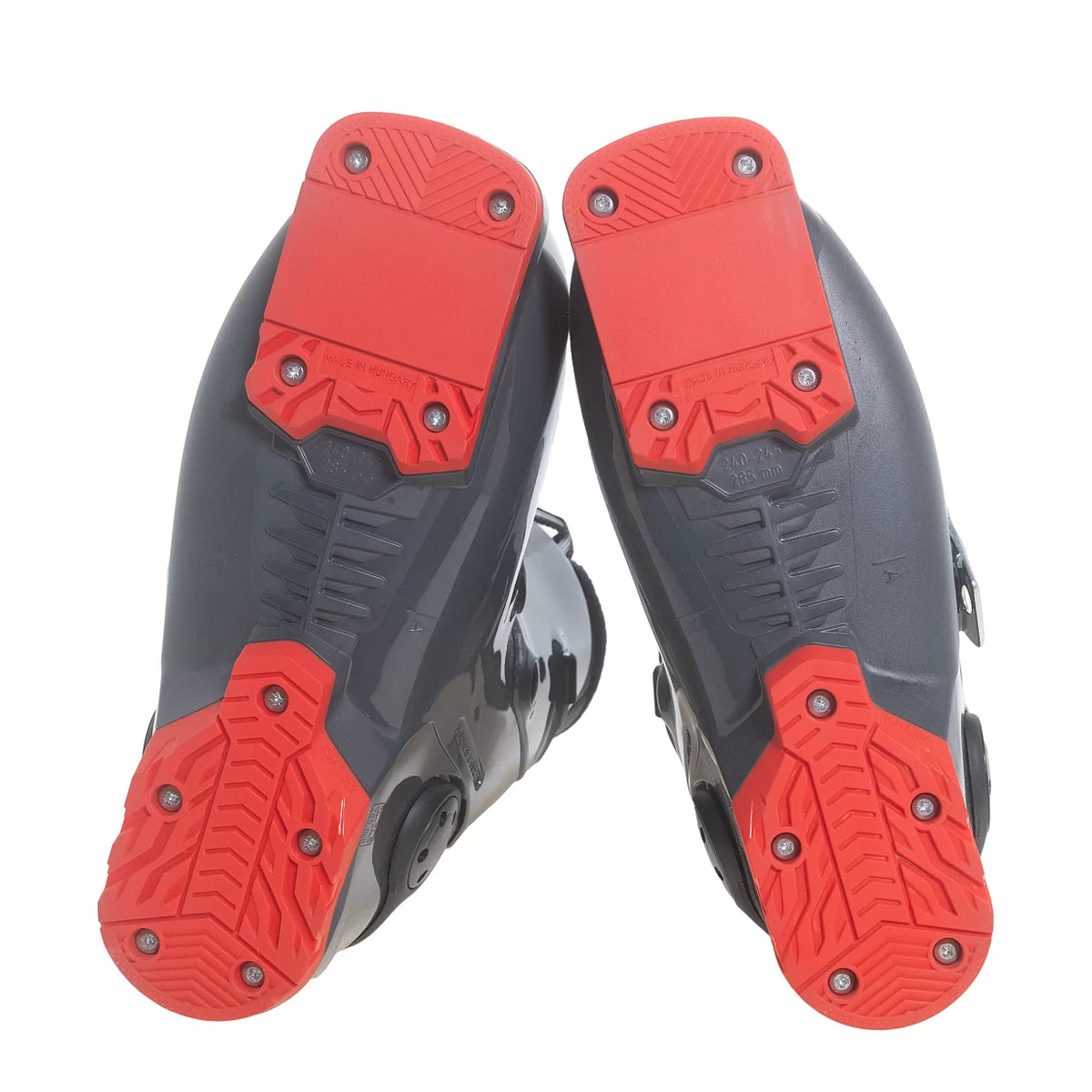 24.5Gray/Red