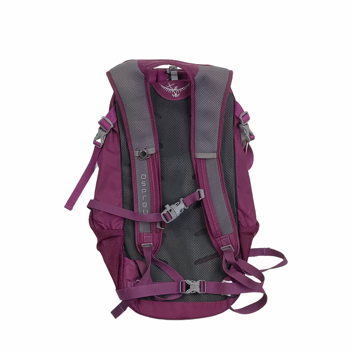 One SizePurple