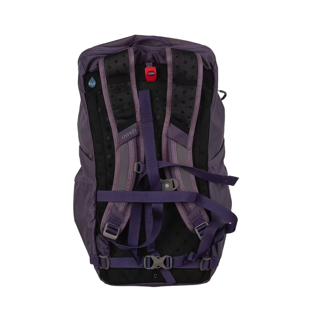 One SizePurple