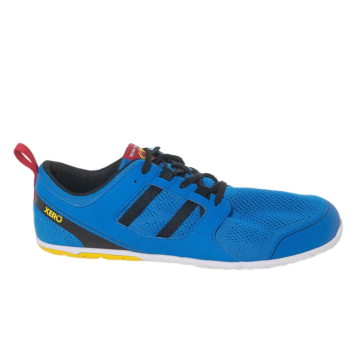 12Blue