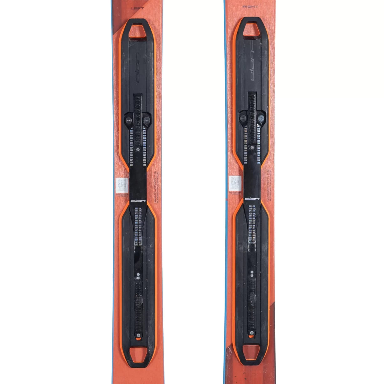 172cmOrange