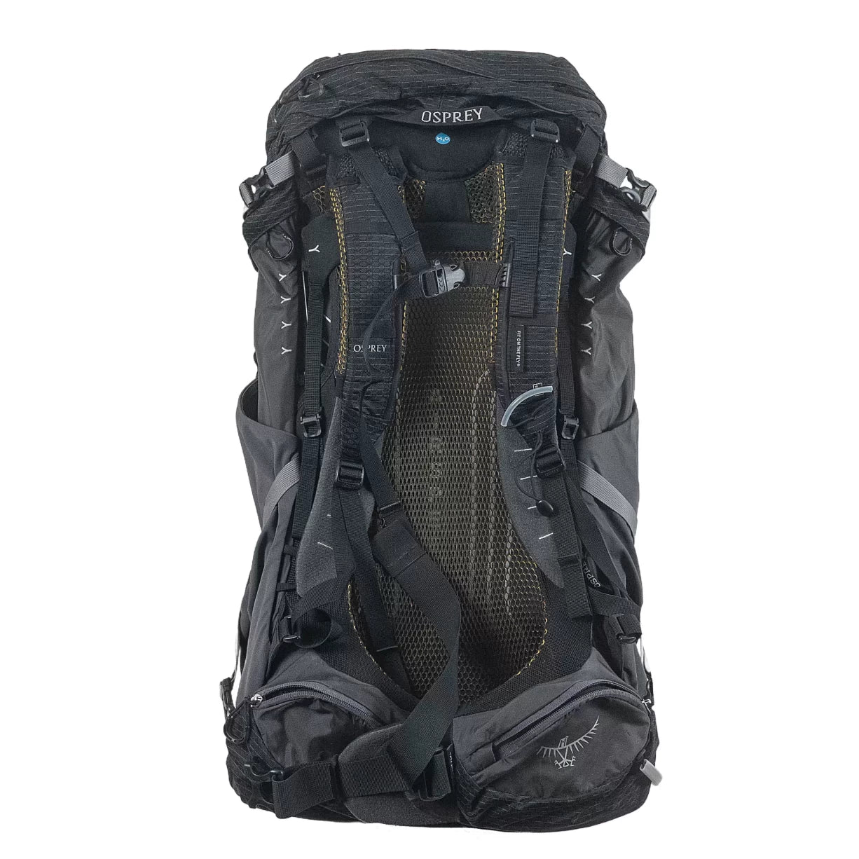 50 LGray/Black