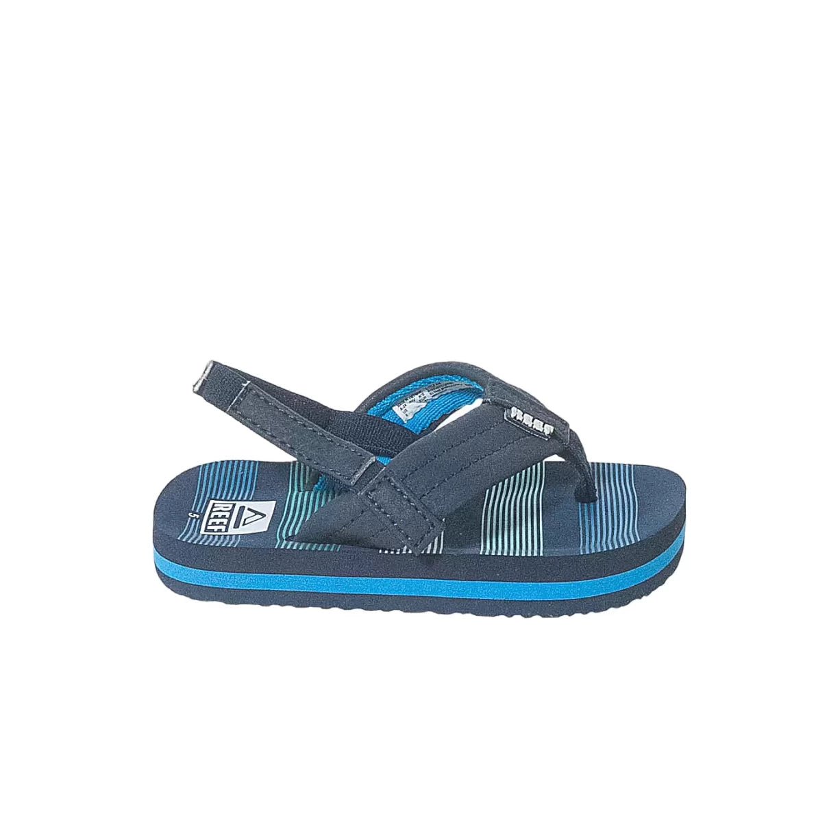 5Blue