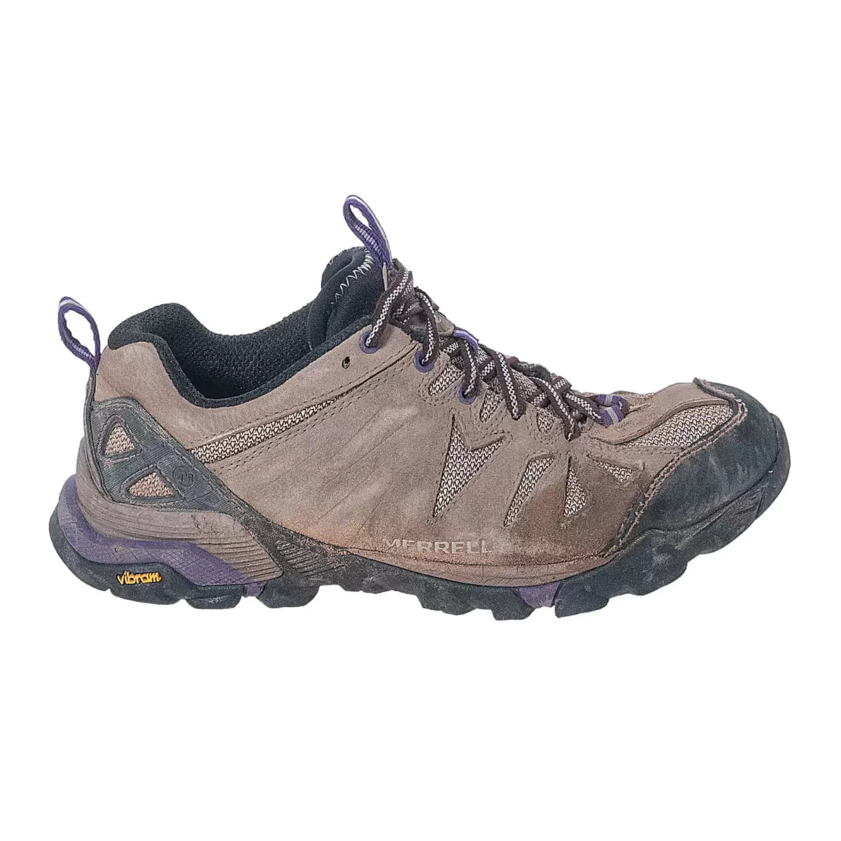 8Brown/Purple