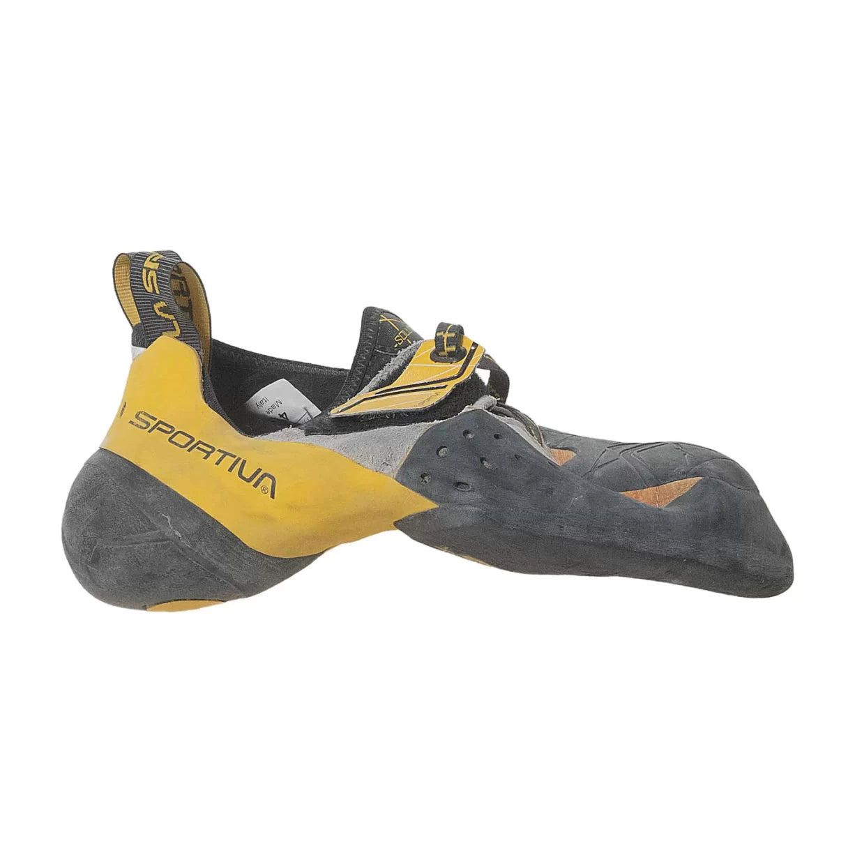 41.0Black/Yellow