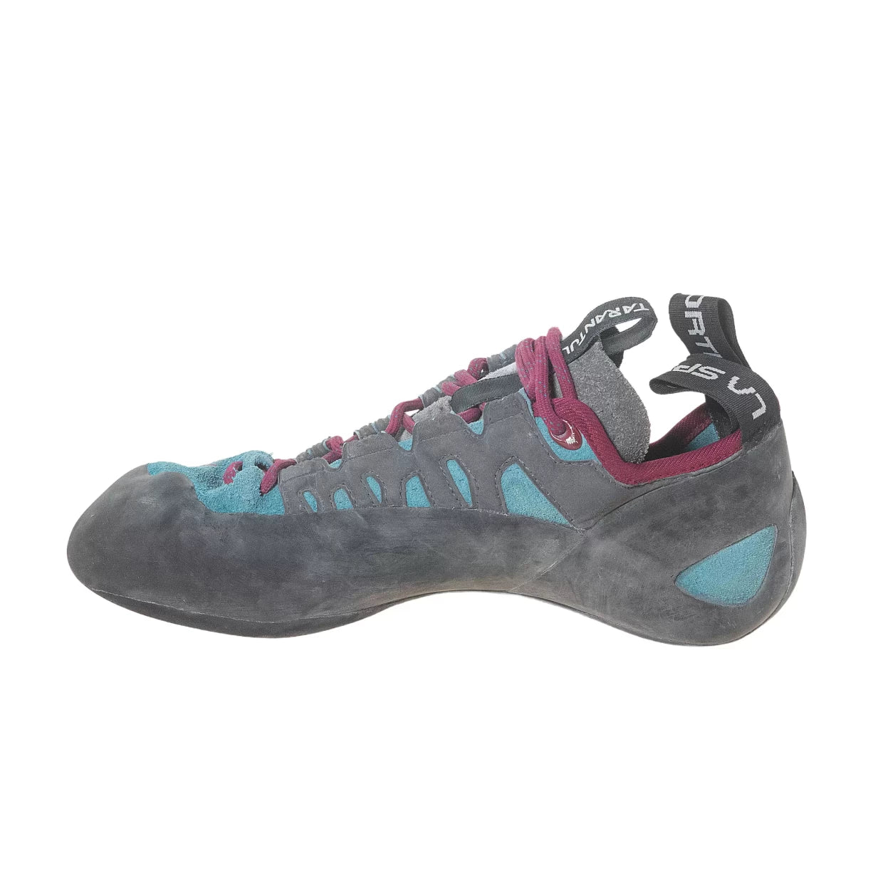 40.5Purple/Blue