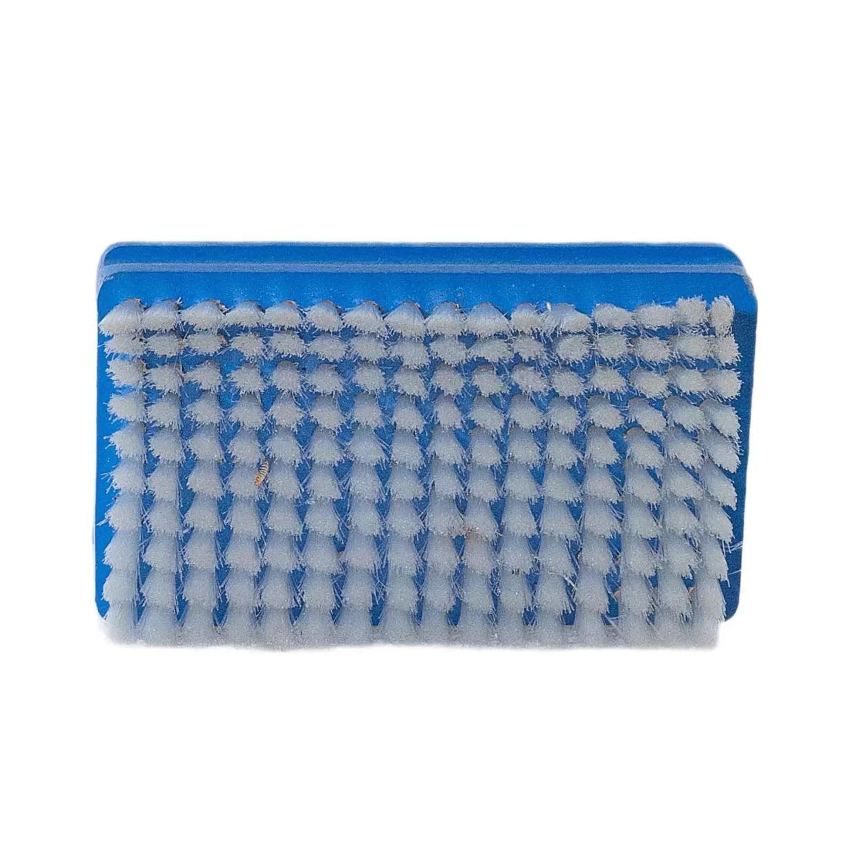 One SizeBlue