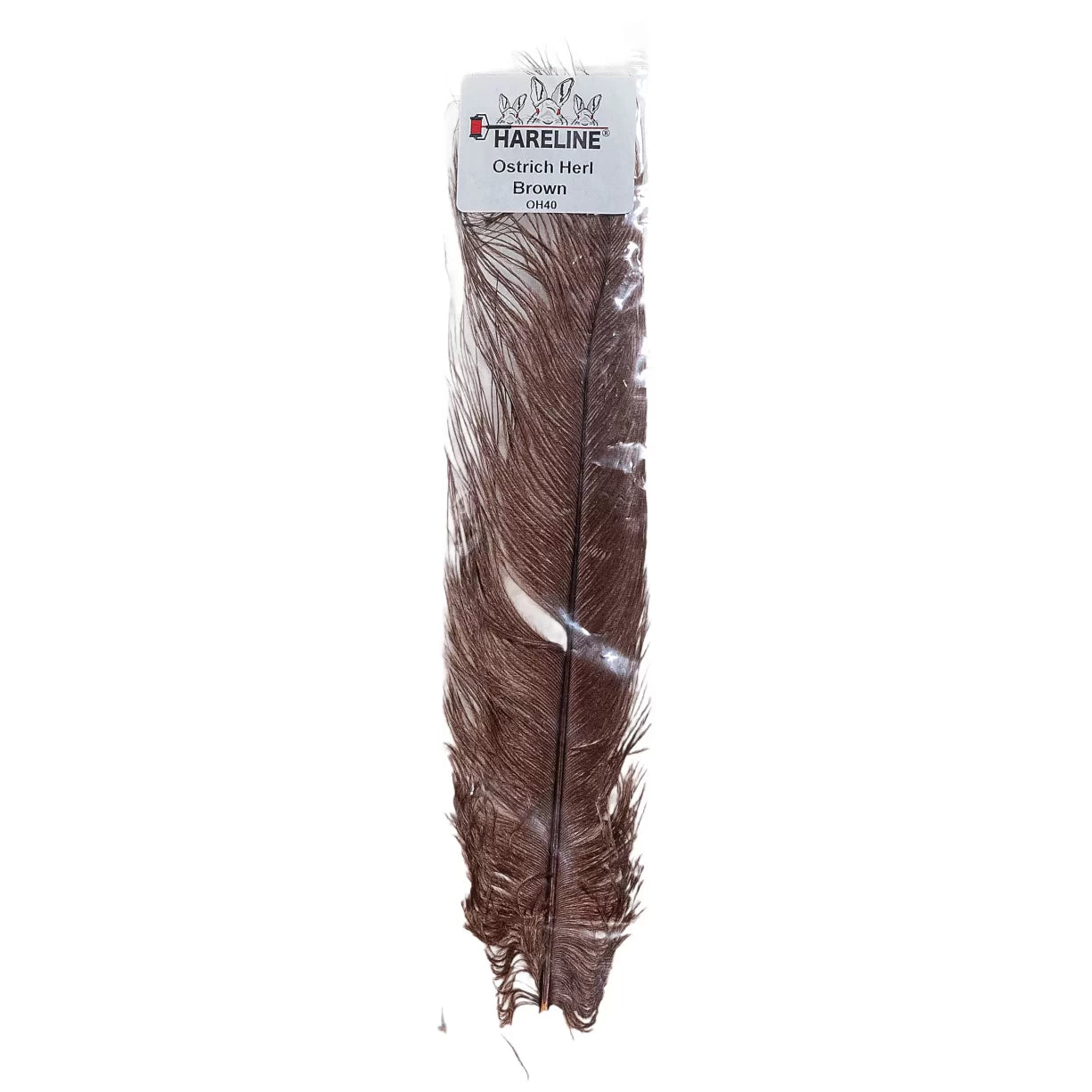 One SizeBrown