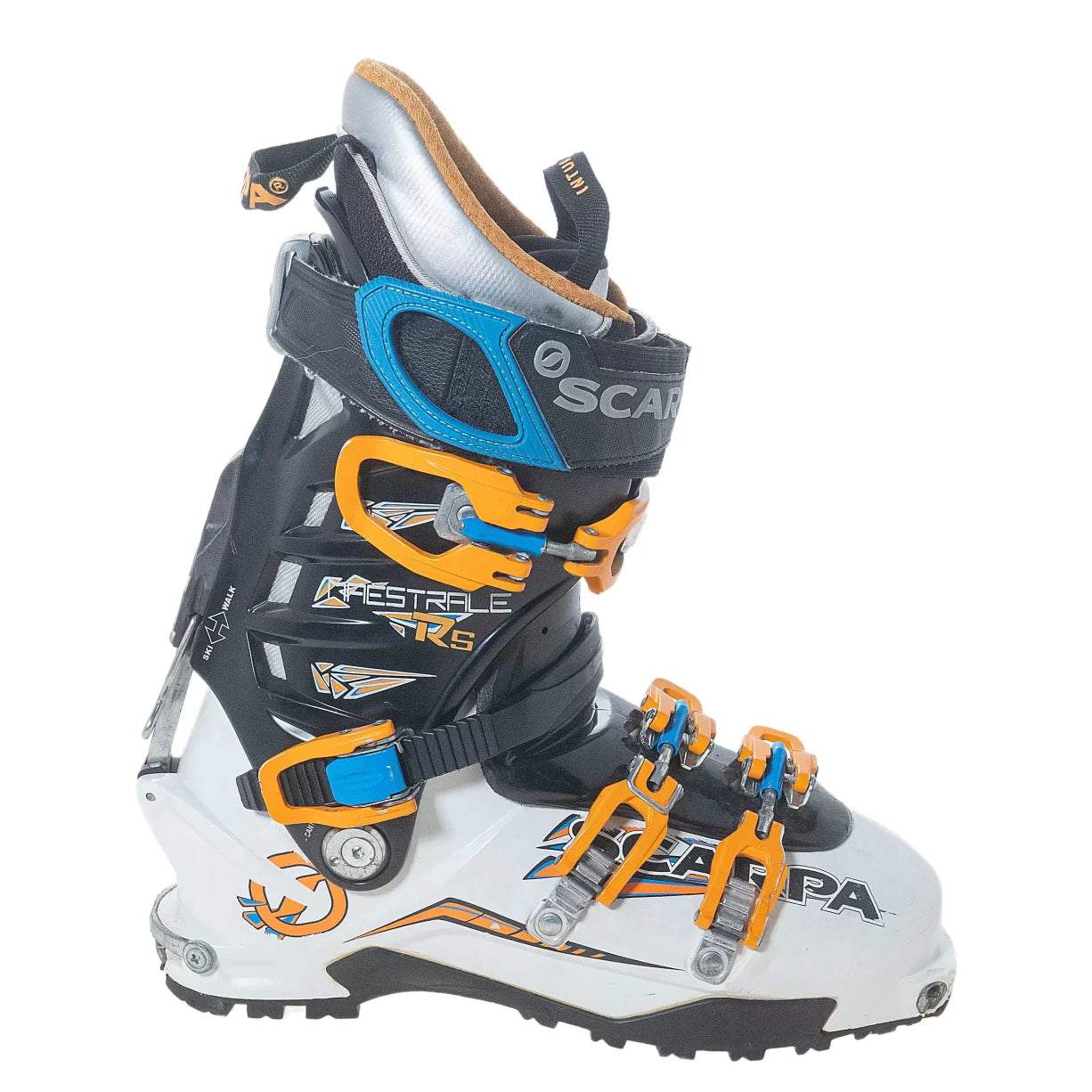 28White/Blue