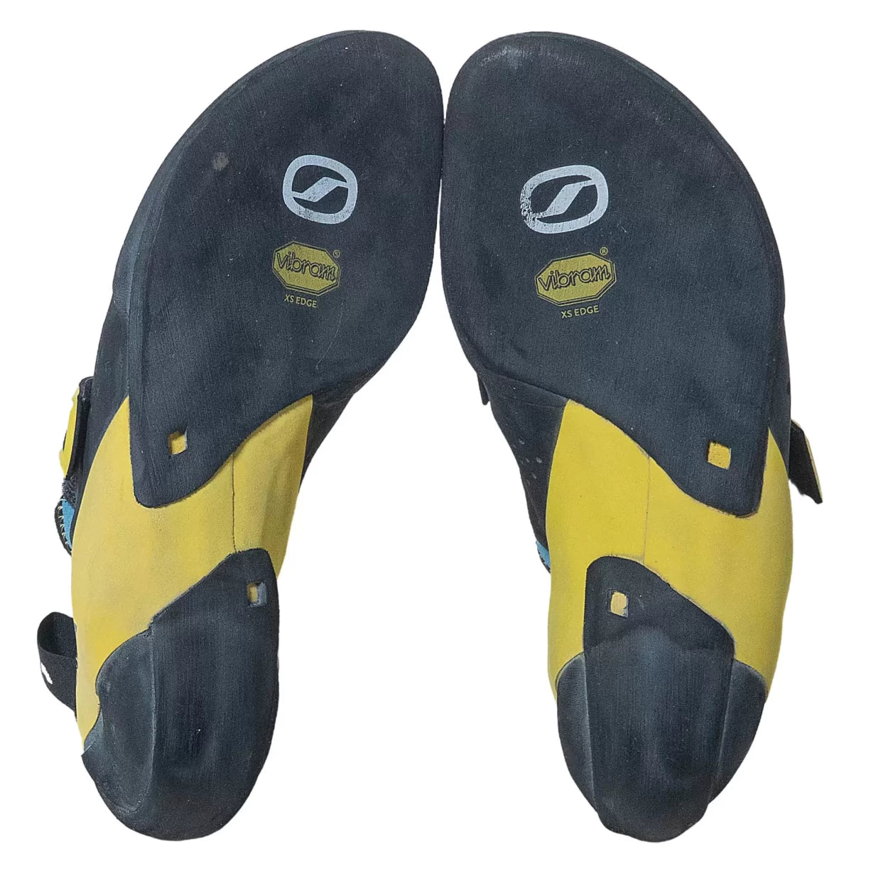 41.0Yellow/Blue