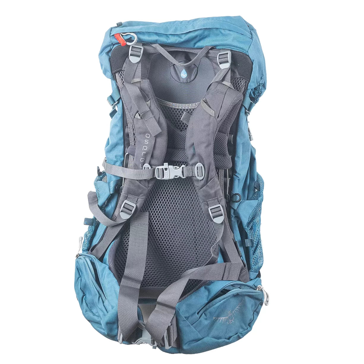 50 LBlue