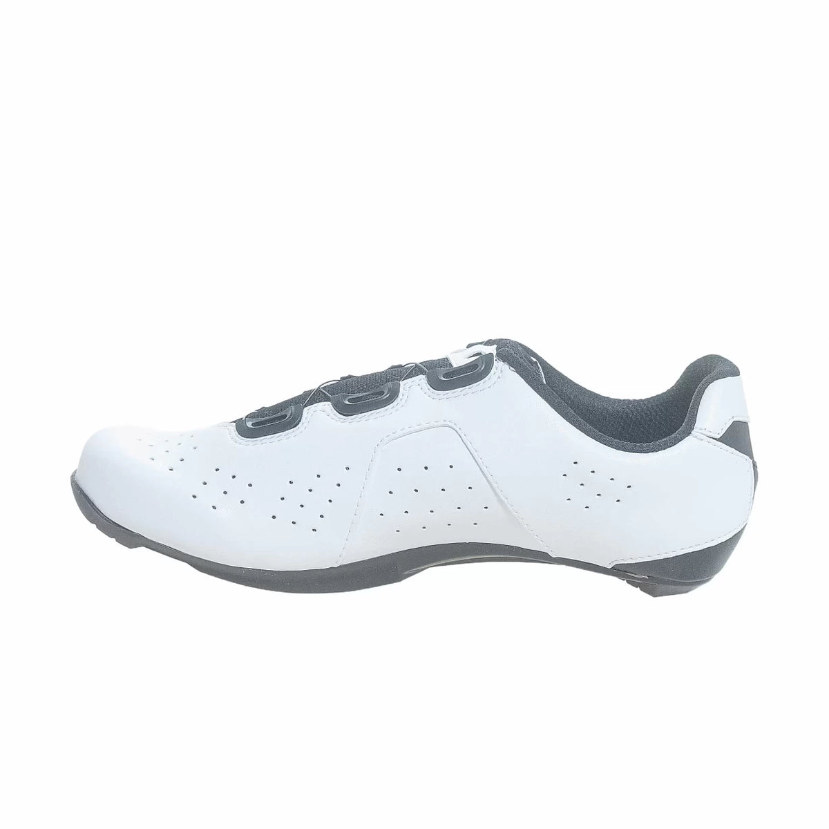 43.0White