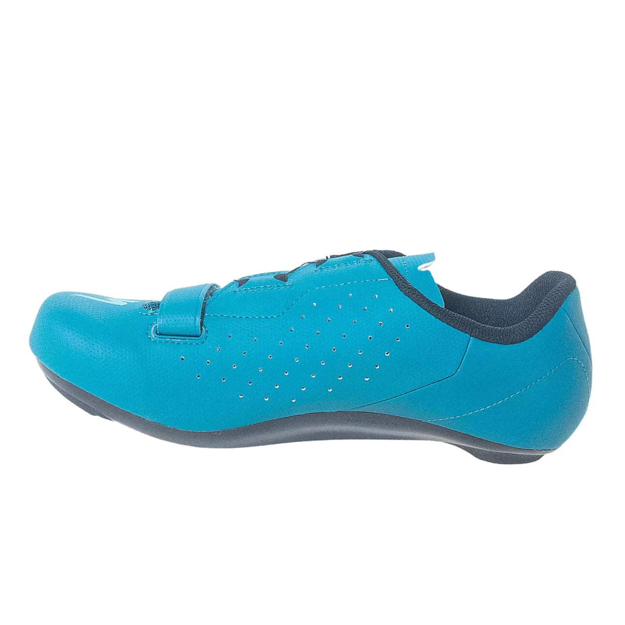 41.0Teal