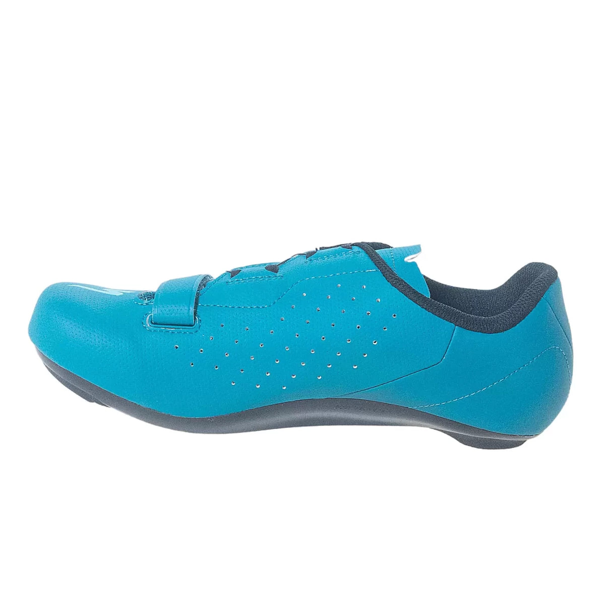 41.0Teal