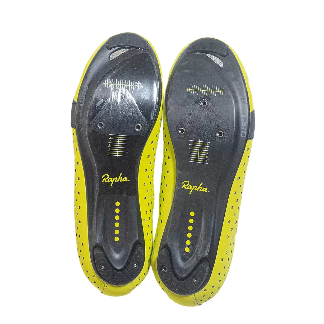 41Yellow