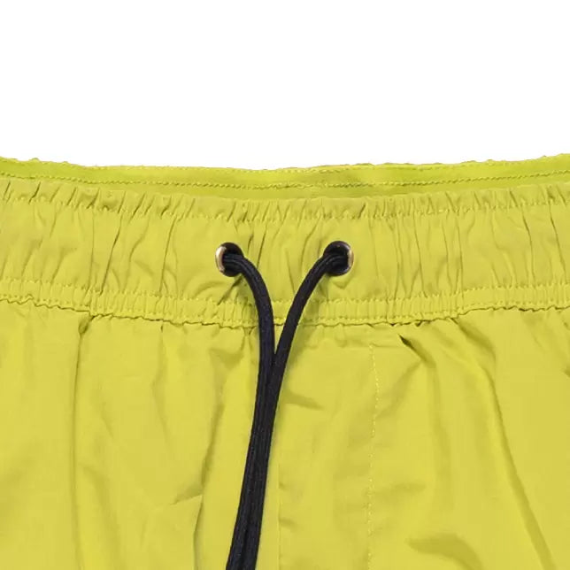 XLLime Green