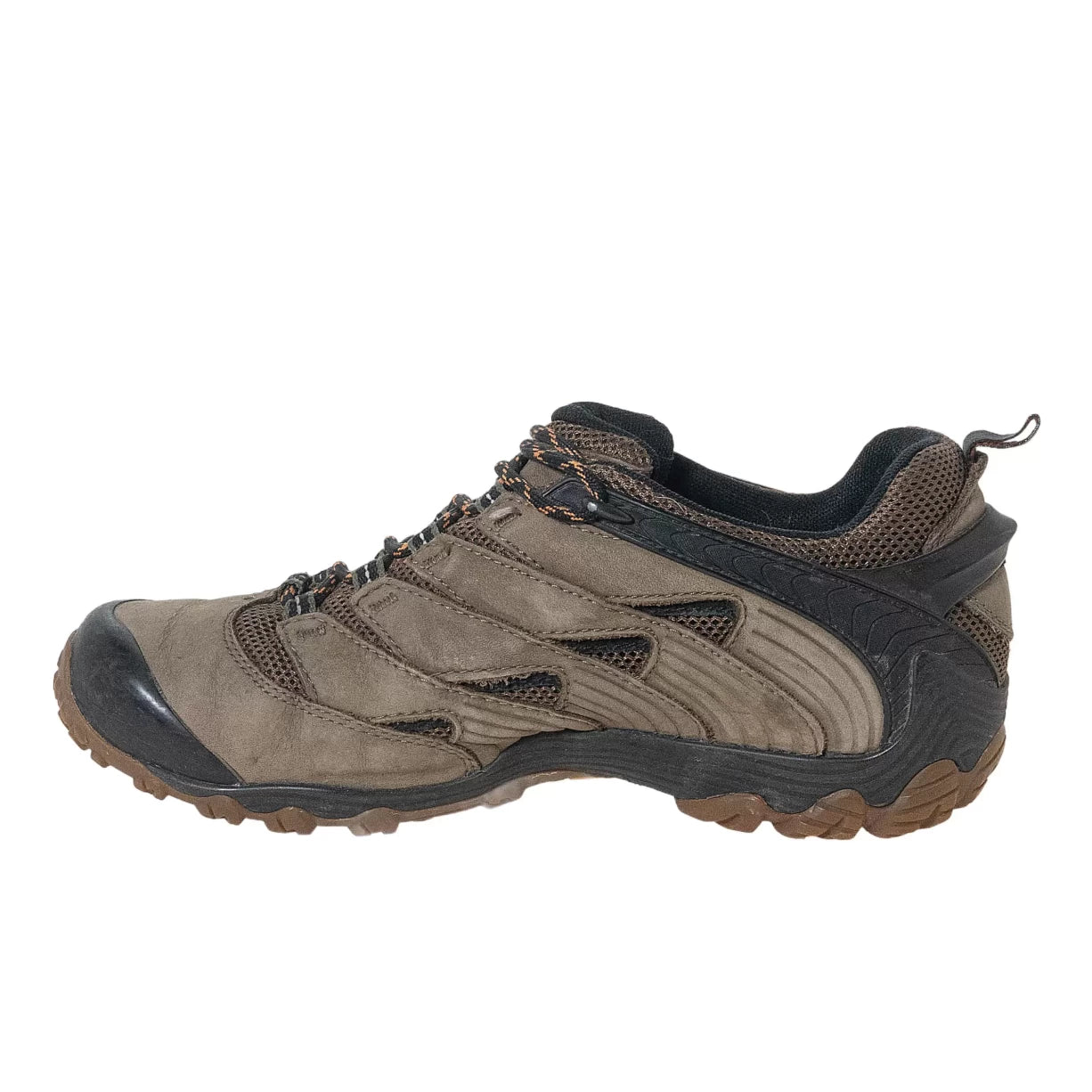 8.5Olive Branch