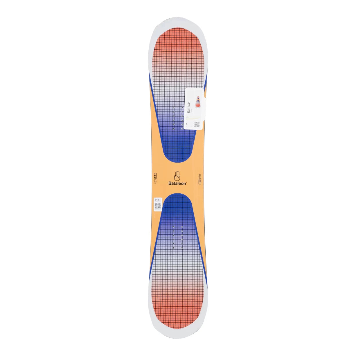 151cmBlue/Orange
