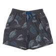 MVolcanic Ash 2