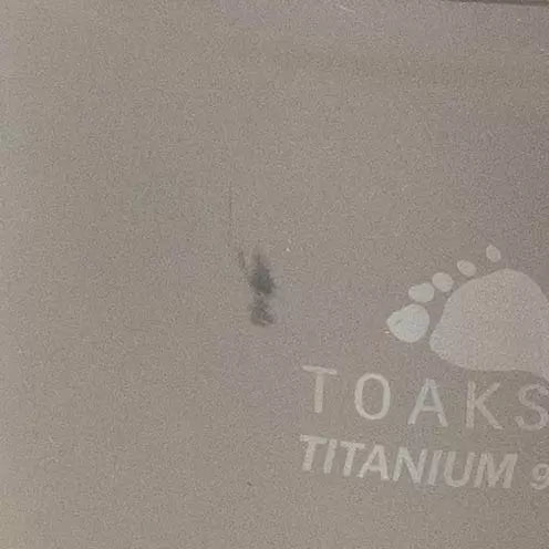 700mLTitanium