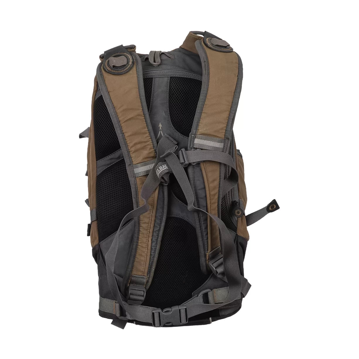 15 LBrown